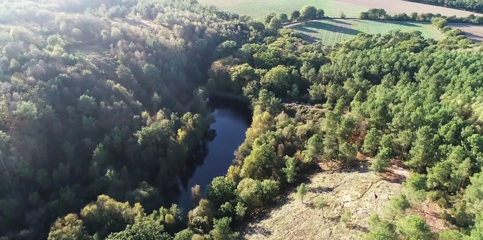 Le mystérieux Étang du Miroir aux Fées au cœur de la forêt de Brocéliande