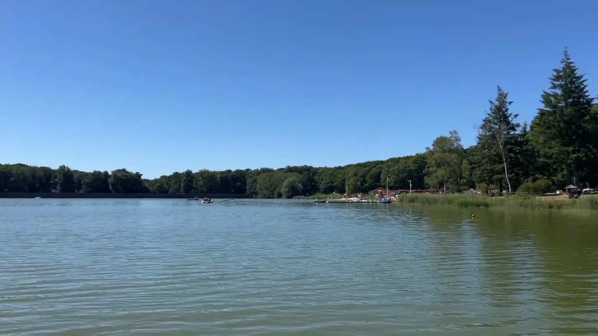 Cadre sauvage et verdoyant des Étangs de Hollande nichés au cœur de la forêt de Rambouillet, un espace naturel historique pour la baignade et la détente