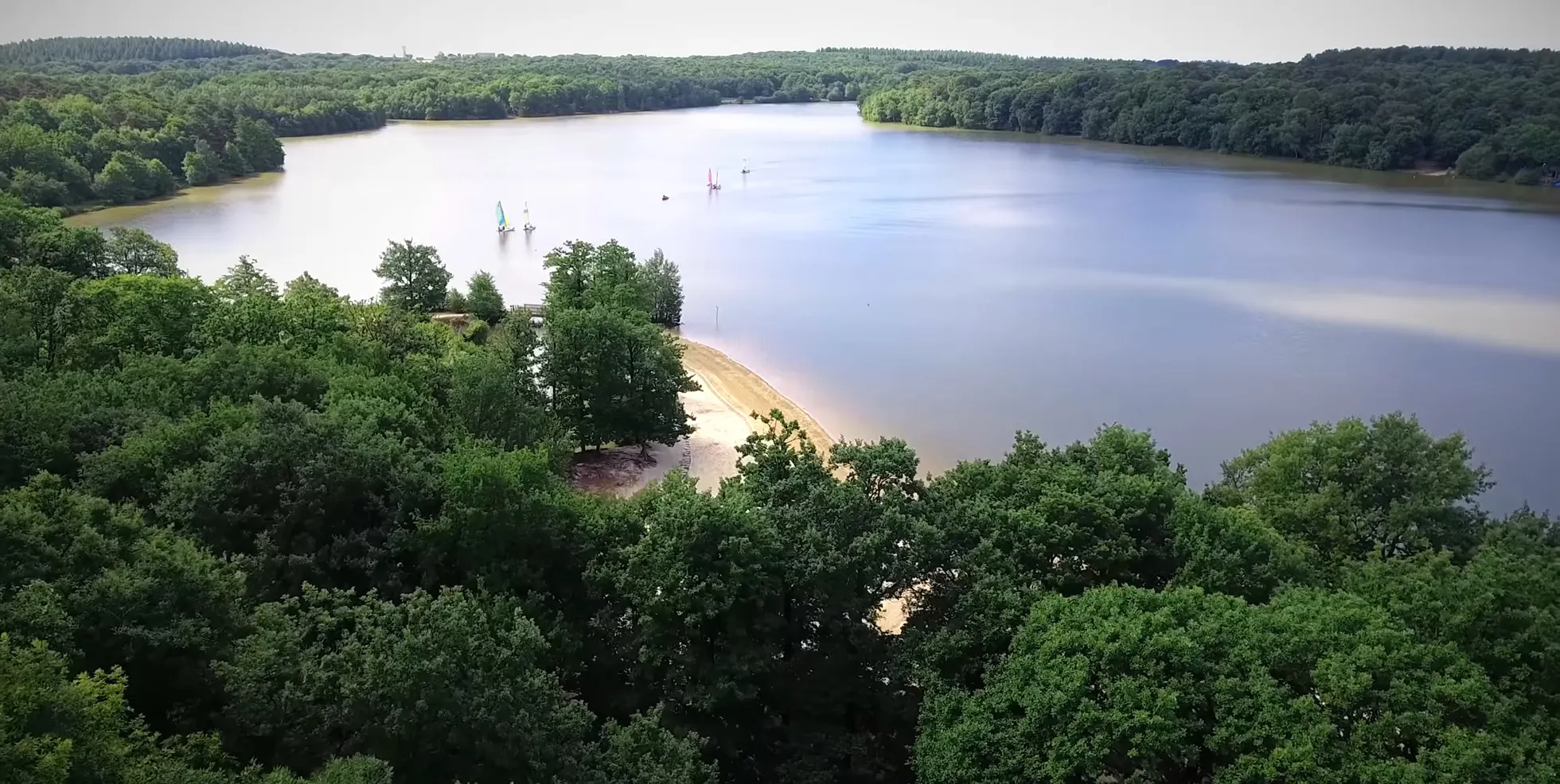 Vue du Lac de Sillé au cœur de la forêt domaniale en Sarthe, évoquant les paysages canadiens avec ses eaux bordées de denses sapins et arbres feuillus