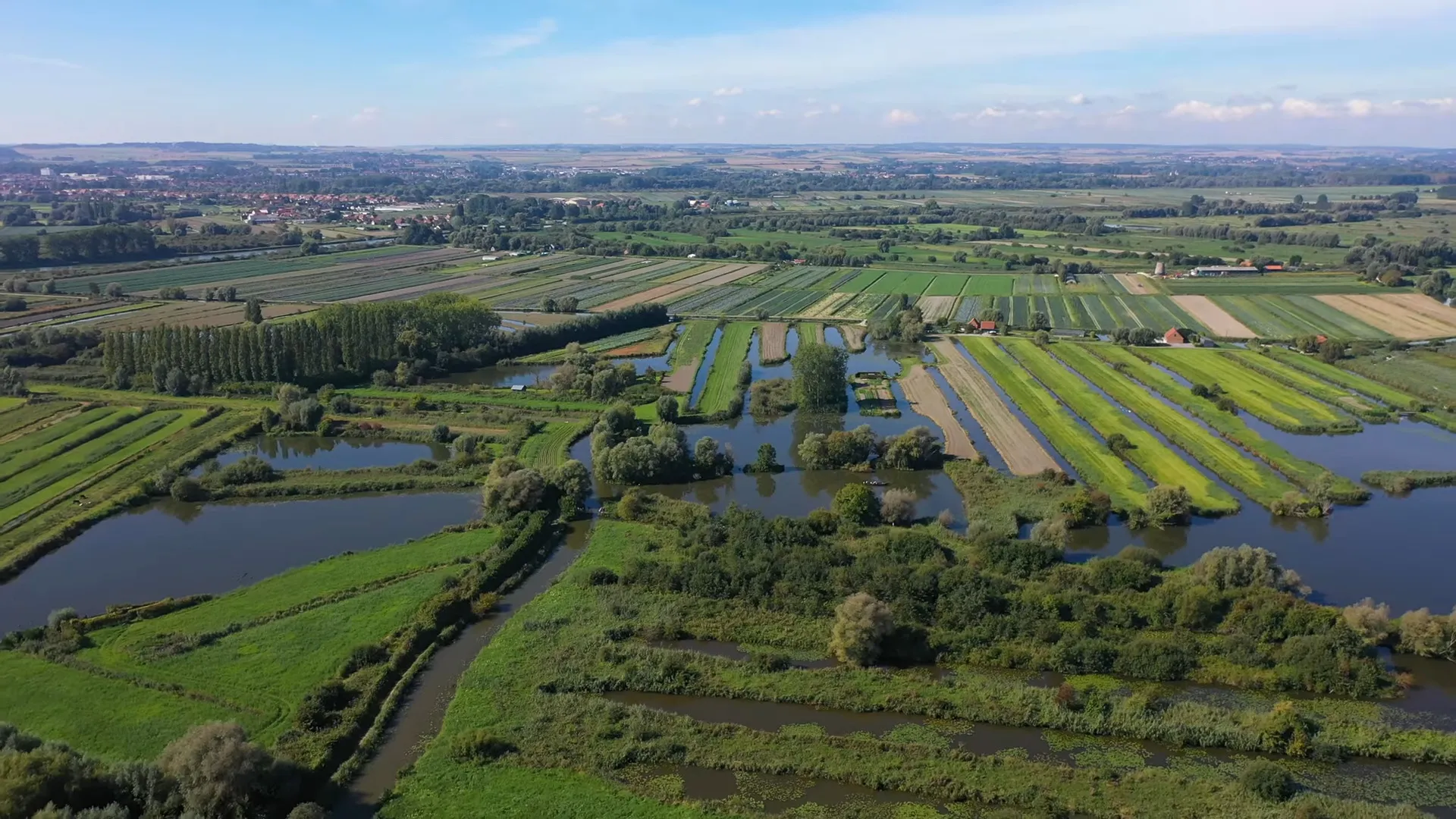 Barques traditionnelles dans les canaux du Marais Audomarois