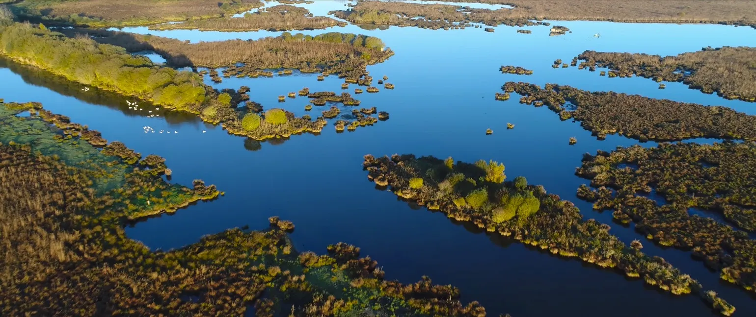 Marais de la Grande Brière, promenade en chaland au milieu des roseaux