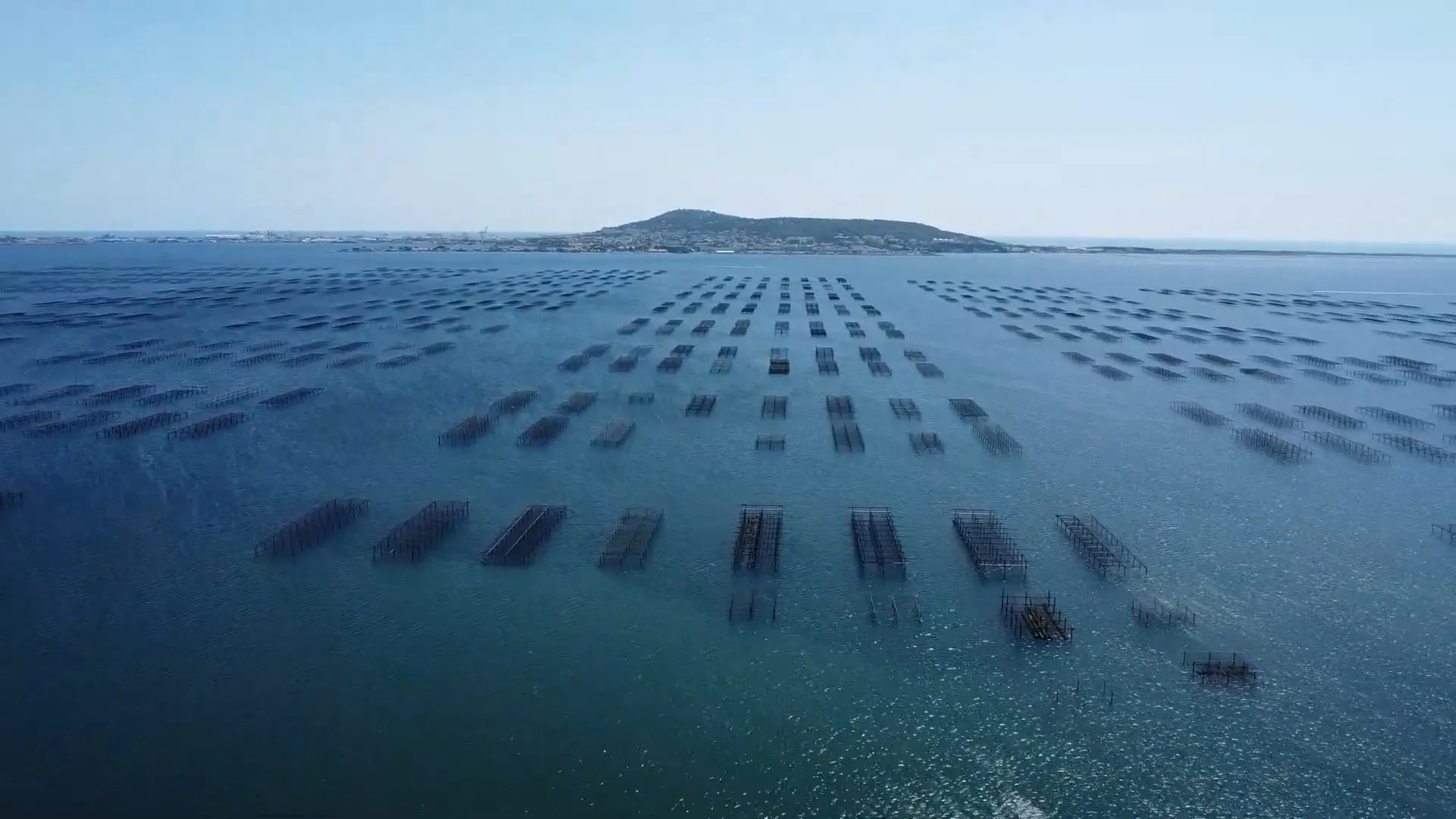 Vue sur l'étang de Thau et les parcs à huîtres