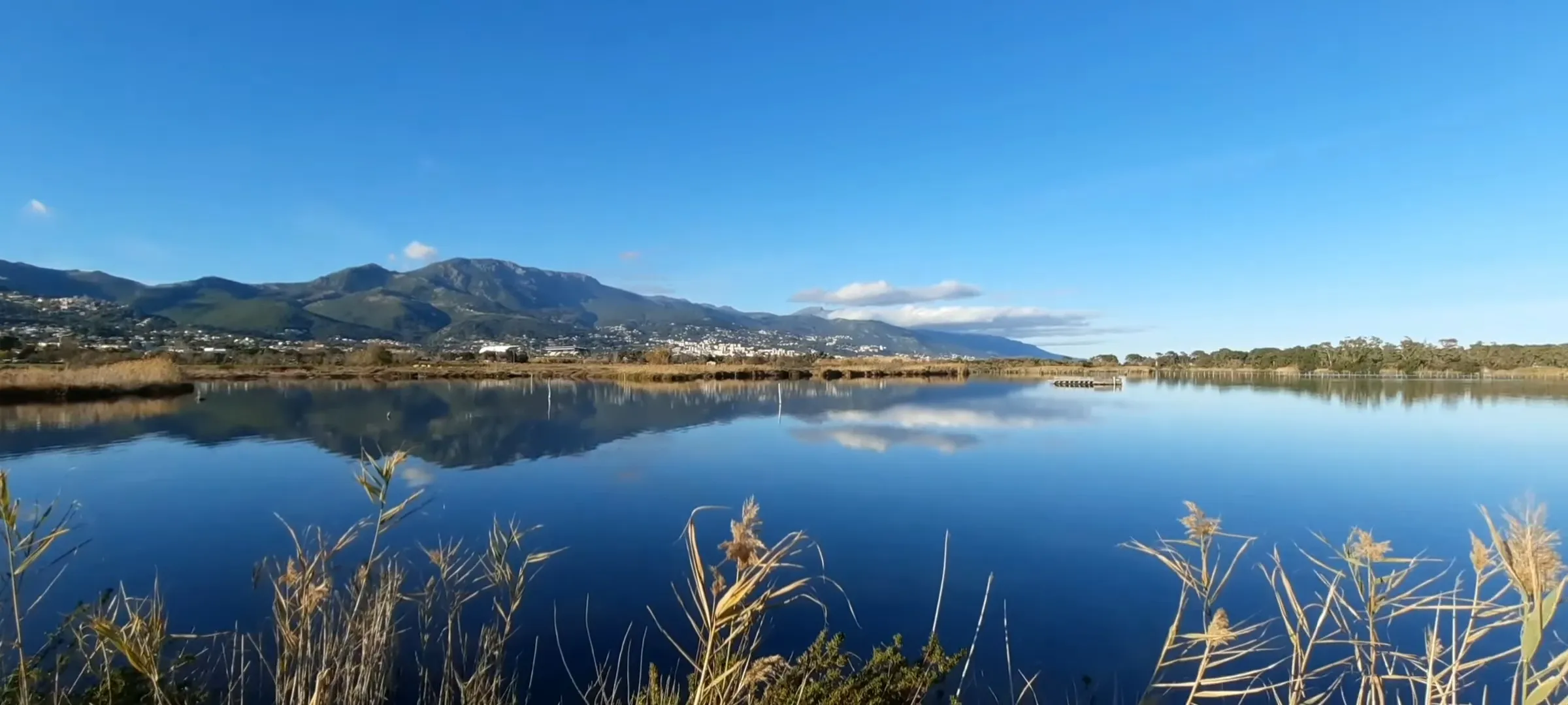 L'Étang de Biguglia, vaste lagune littorale au sud de Bastia, refuge des flamants roses