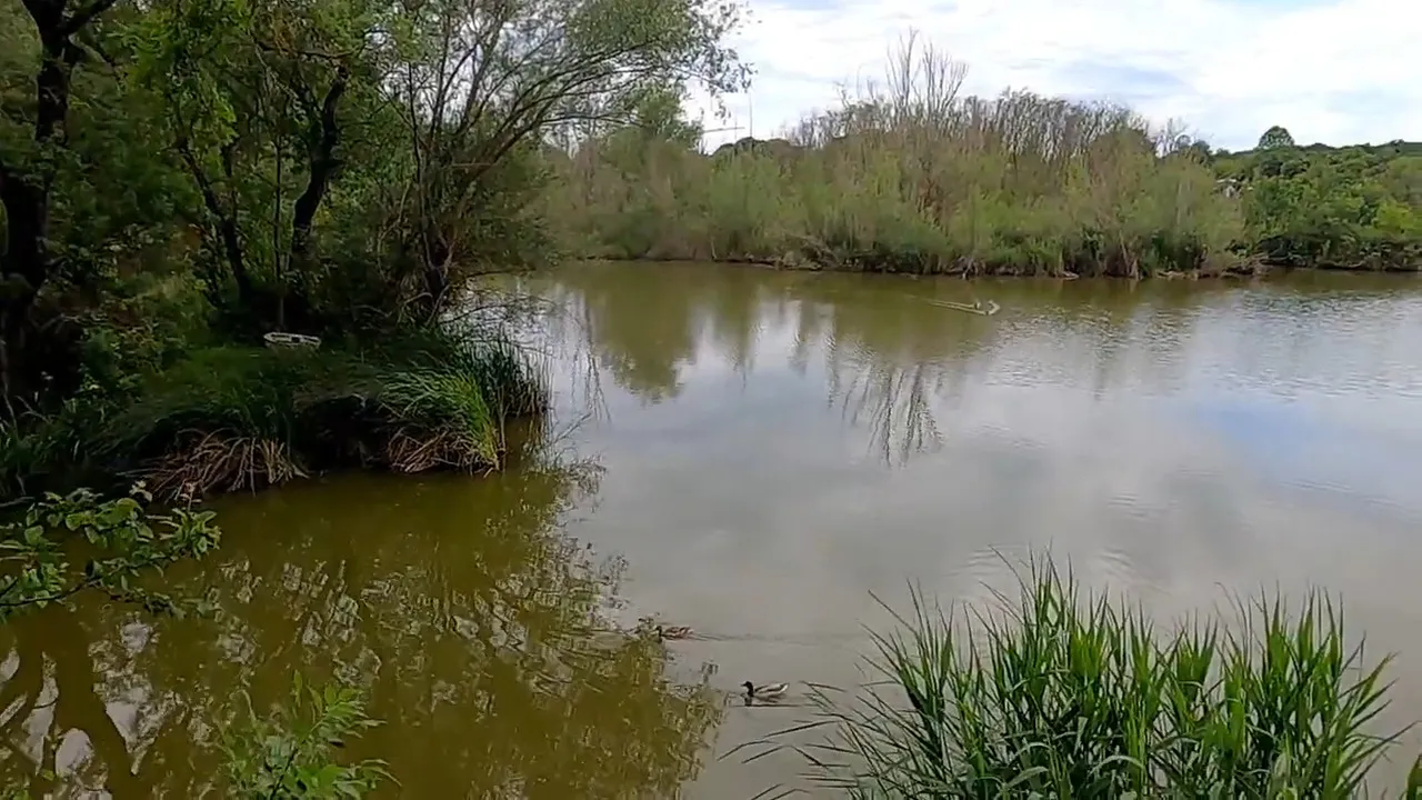 Observatoire ornithologique de l'Etang de Vaugrenier