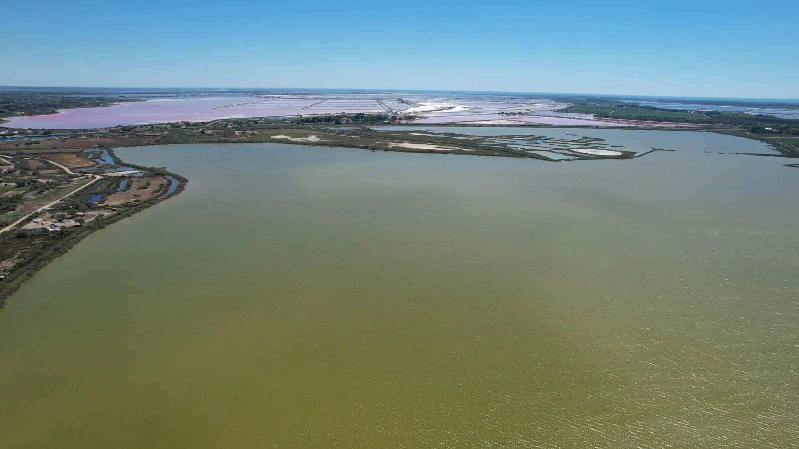 Observation nature à l'étang de la Marette