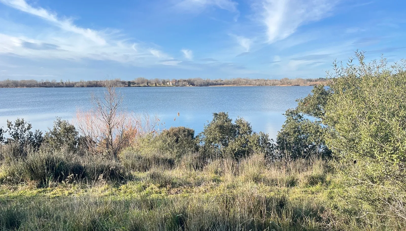 Etang des Aulnes à Saint Martin de Crau