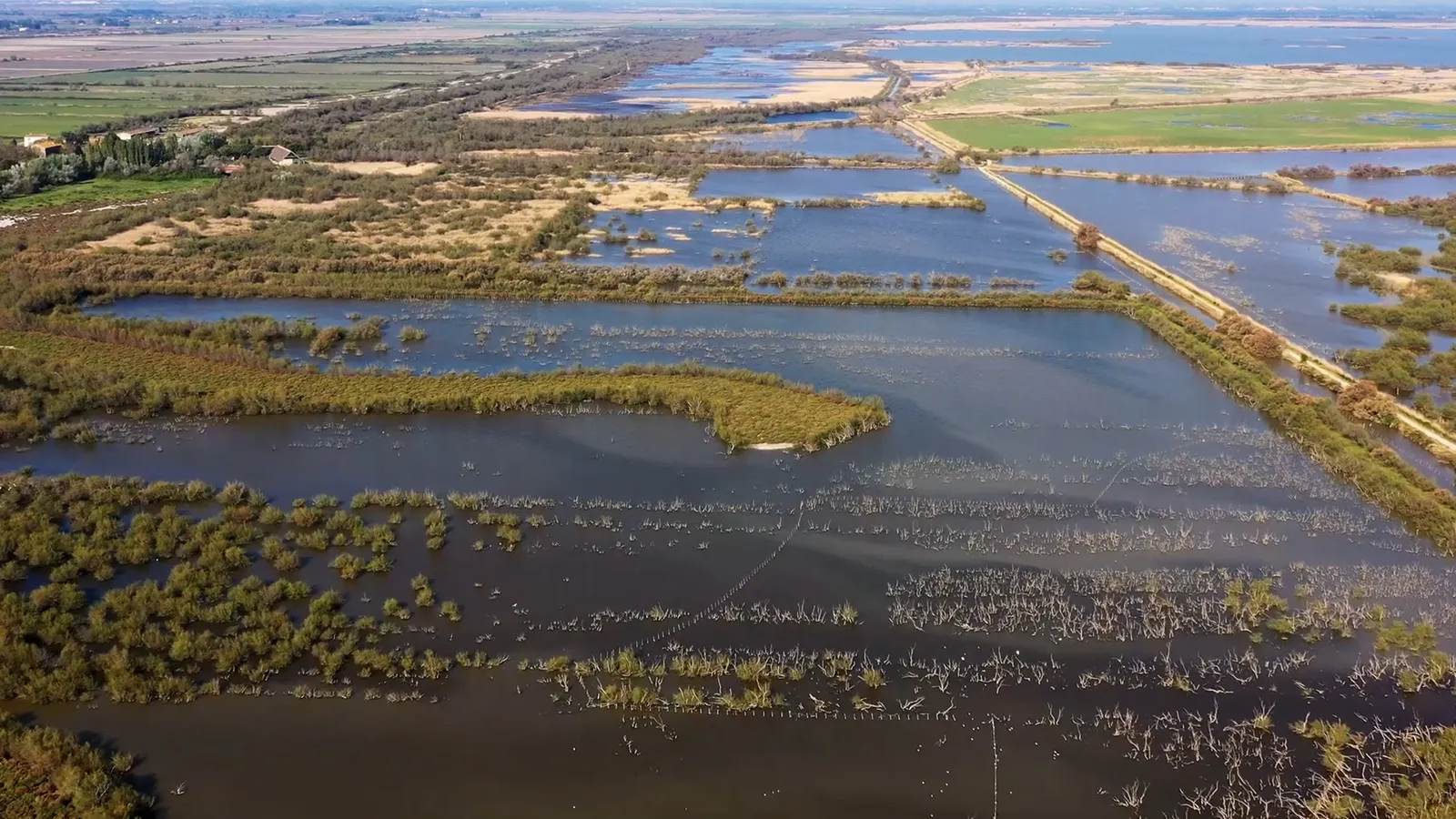 Sentiers sur pilotis à l'Étang du Scamandre
