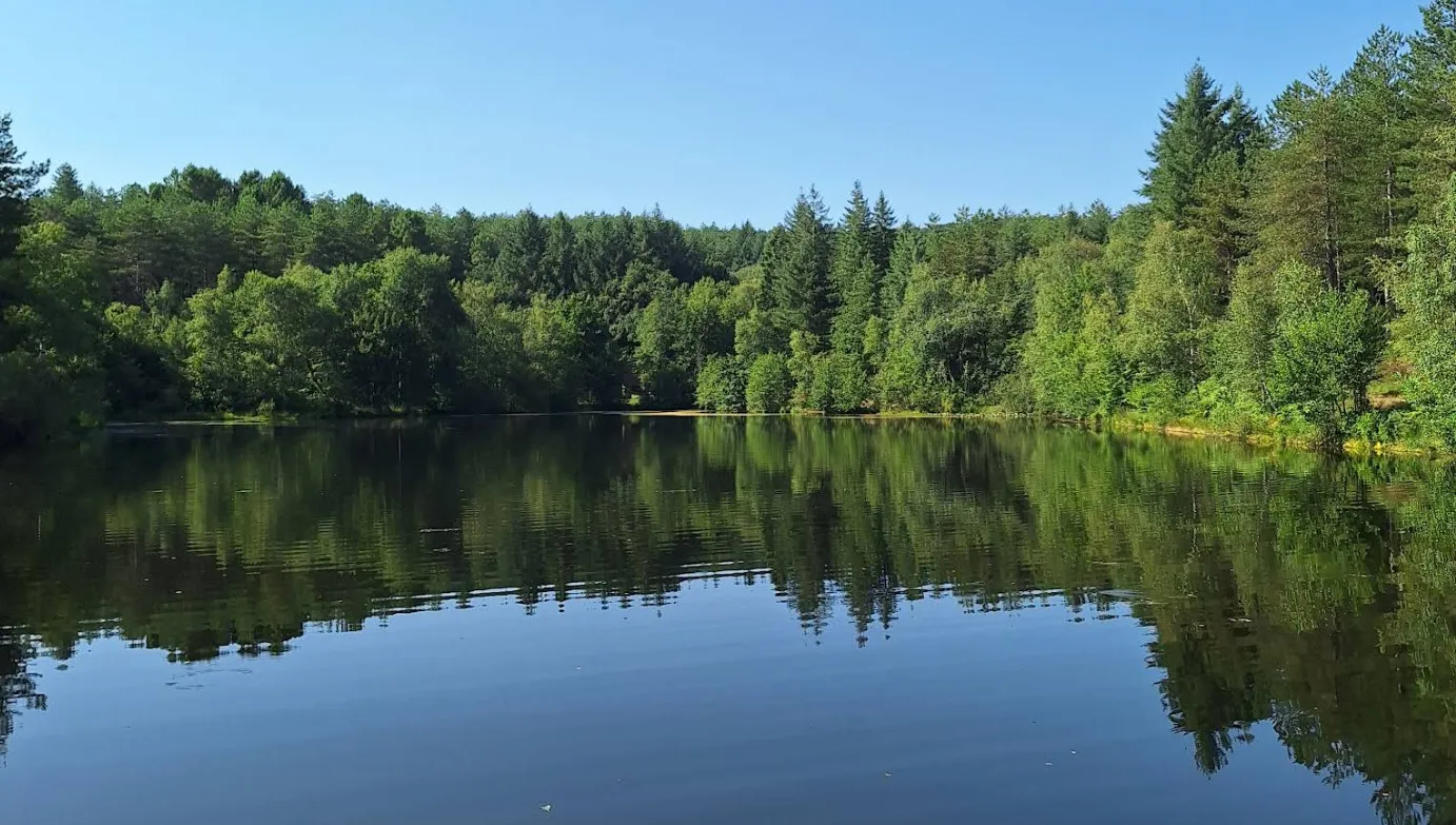 Lac des Sagnes entouré de forêt, ambiance solitaire