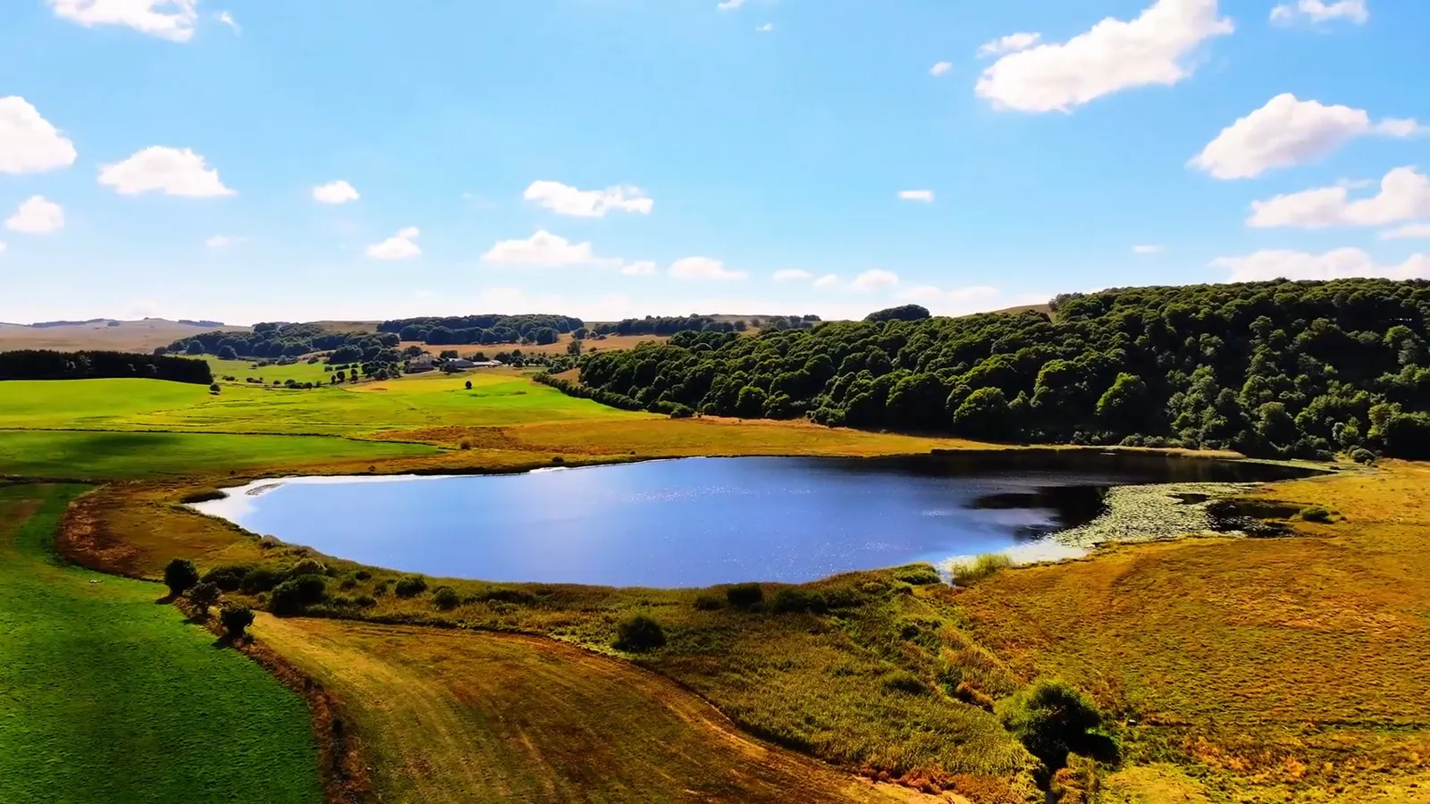 Lac des Salhiens et végétation flottante