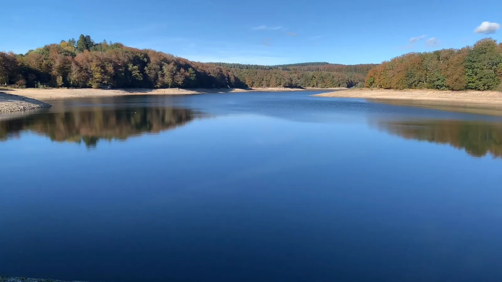 Lac du Lampy et sa forêt mystique