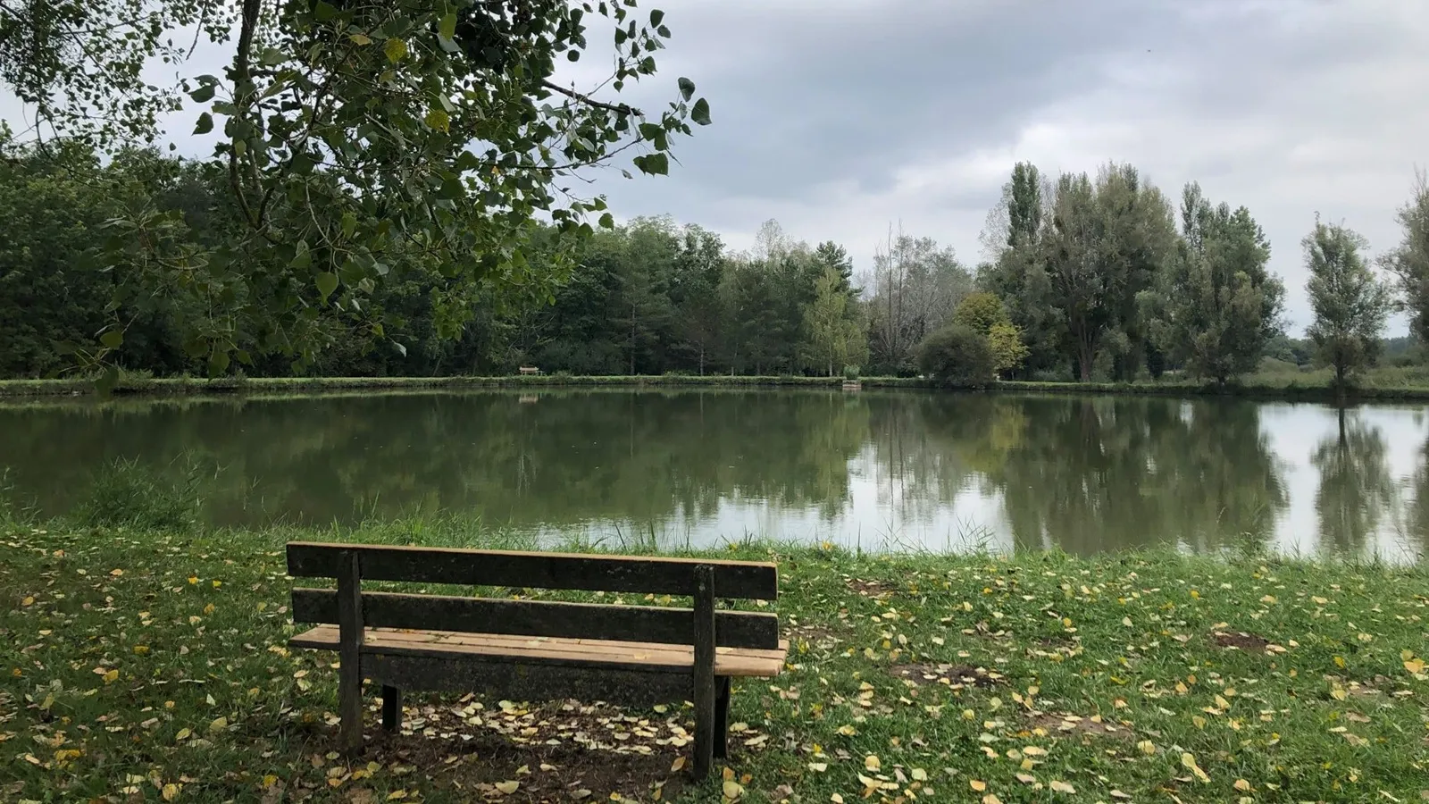 Étang de Guesnes en lisière de forêt de Scévolles