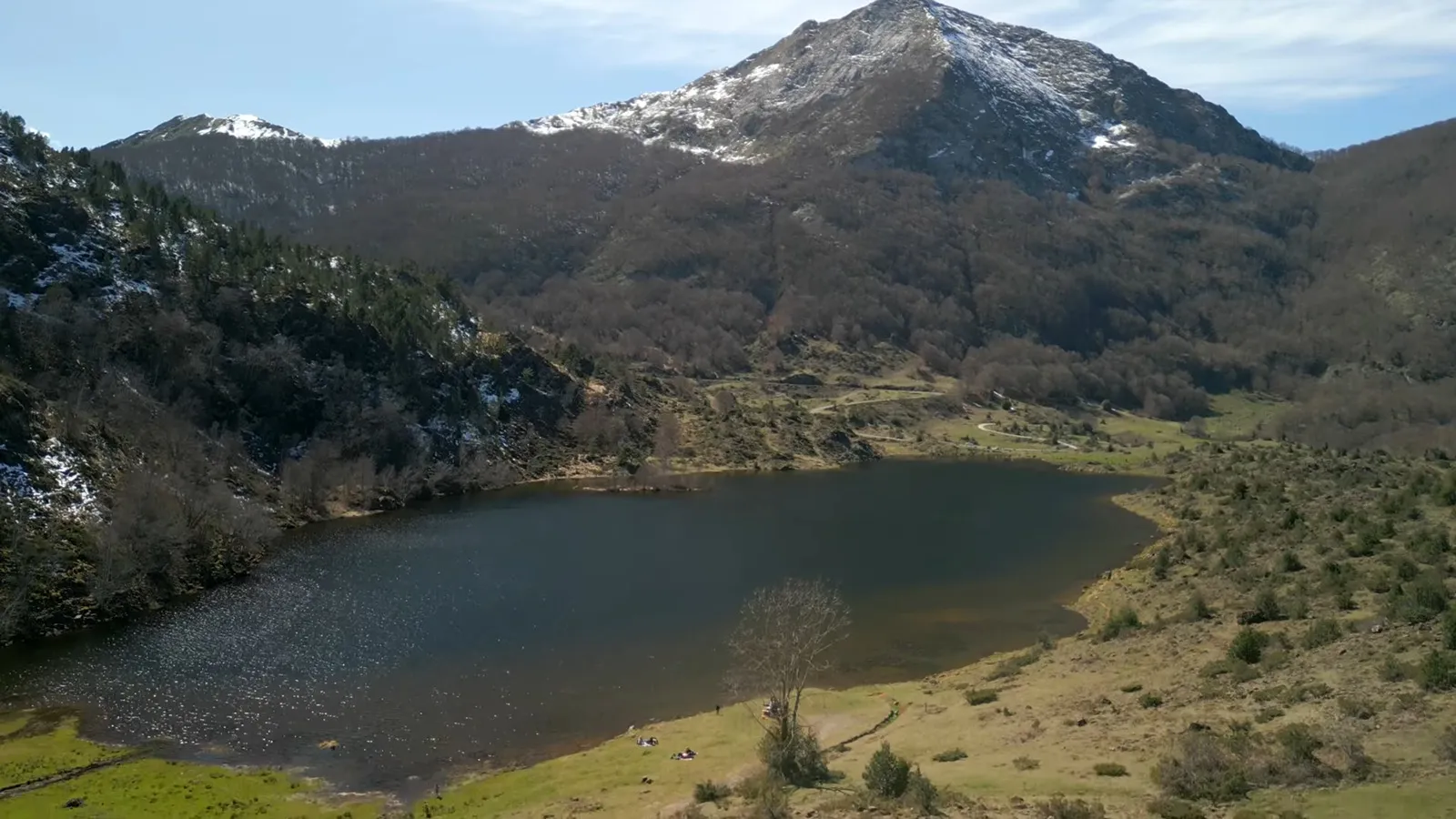 L'Étang de Lers en montagne avec vaches en premier plan