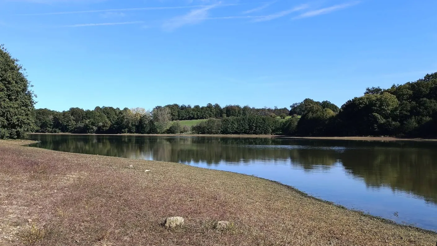 Observation ornithologique à l'Étang de la Pouge
