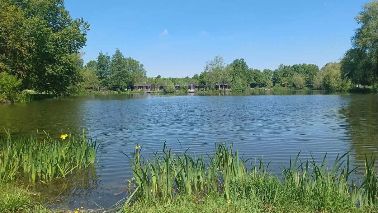 Étang des Adillons Luché-Thouarsais