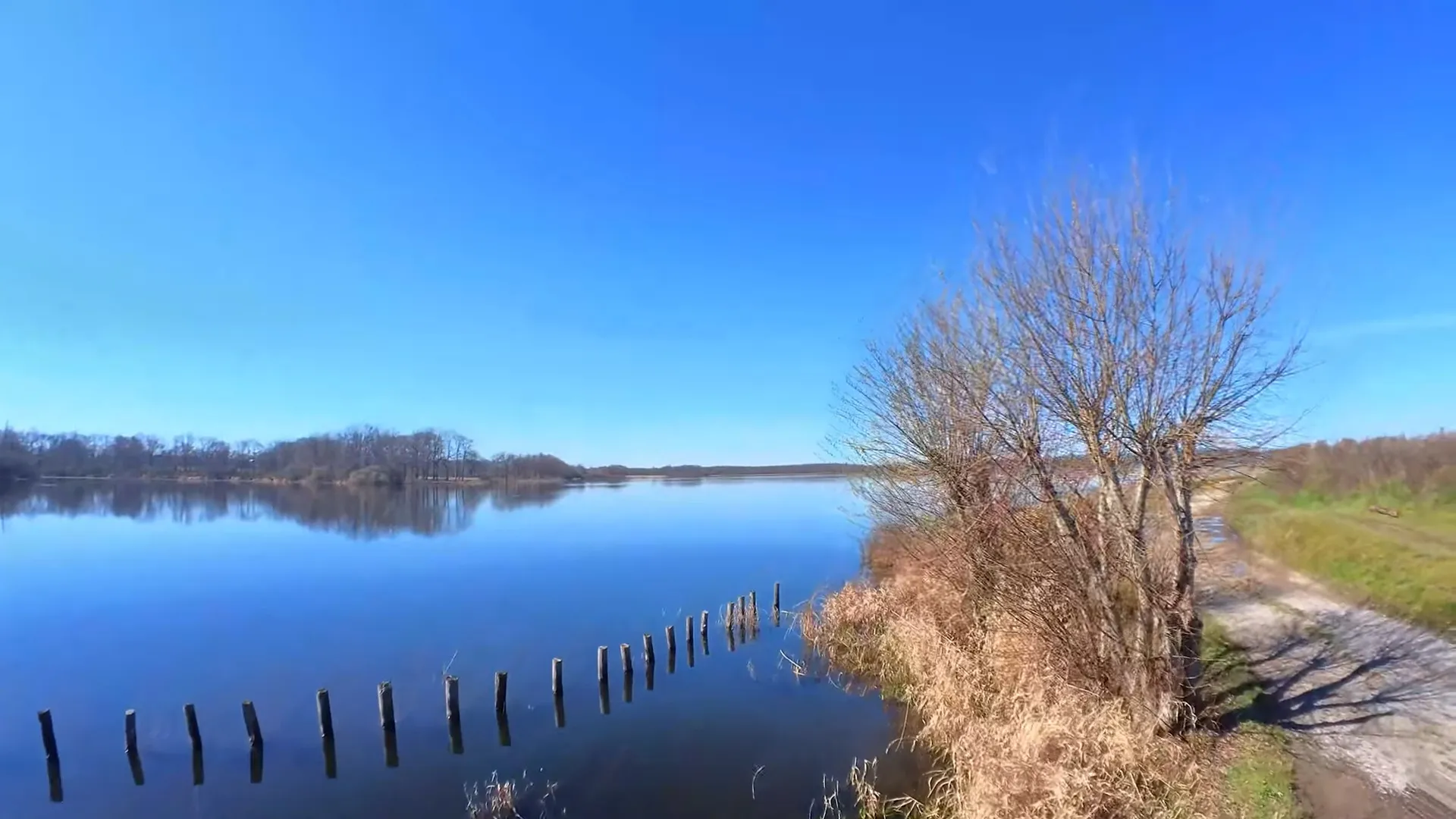 Étang des Landes, réserve naturelle ornithologique en Creuse