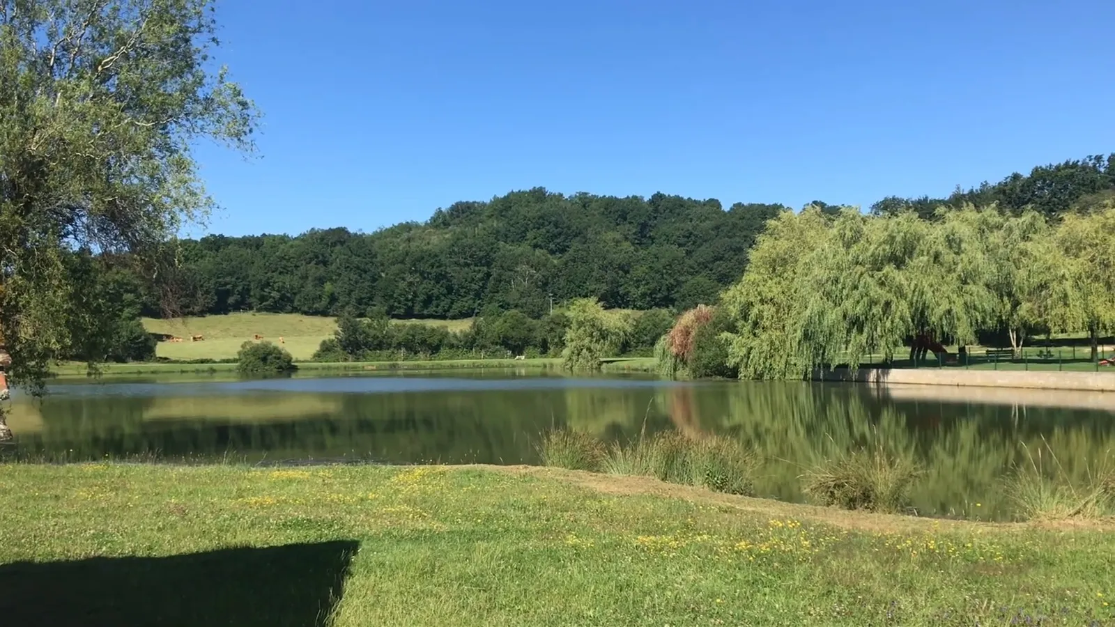 Le lac paisible de Parisot