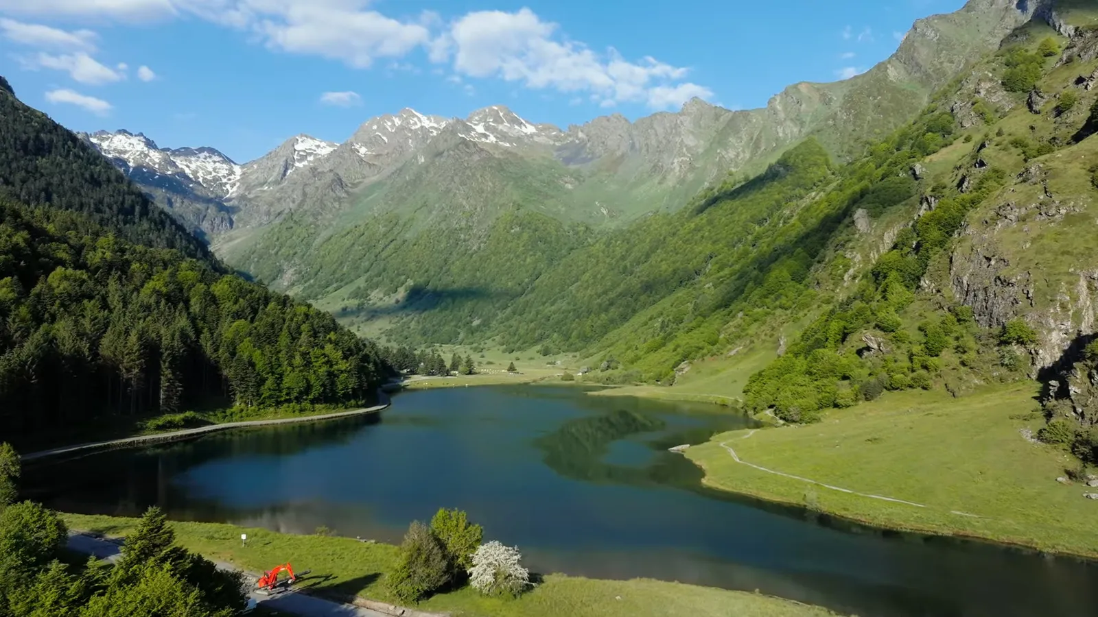 Lac d'Estaing animaux liberté