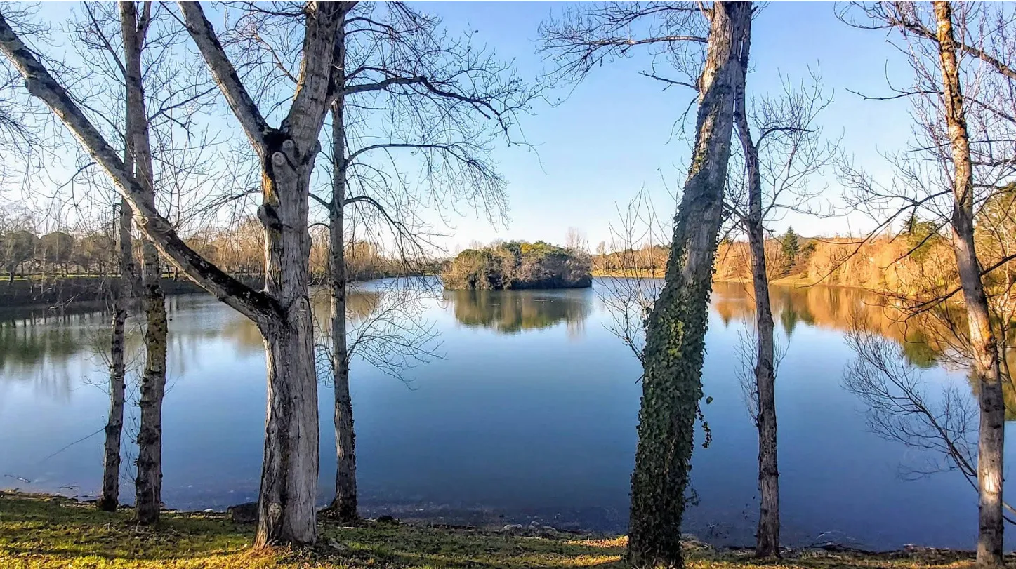 Nature brute au Lac de Bergon