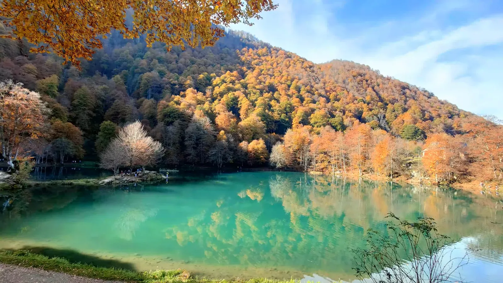 Reflet émeraude de la forêt sur le lac de Bethmale