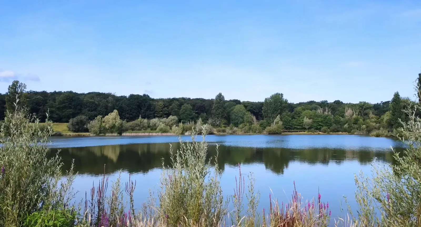 Lac de la Forêt à Châtellerault entouré d'arbres