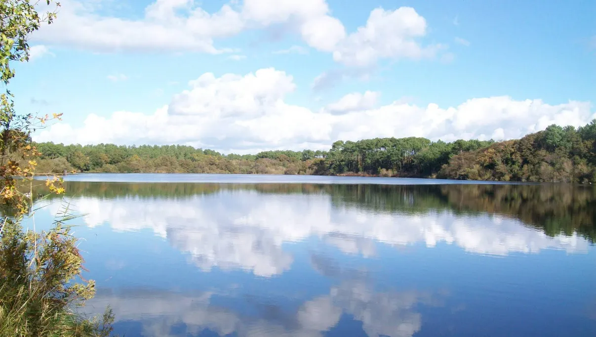 Ponton d'observation sur le Lac de la Prade à Moliets