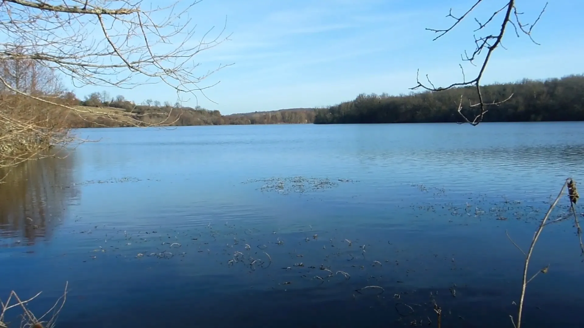 Arbres morts émergeant du lac de la Prade