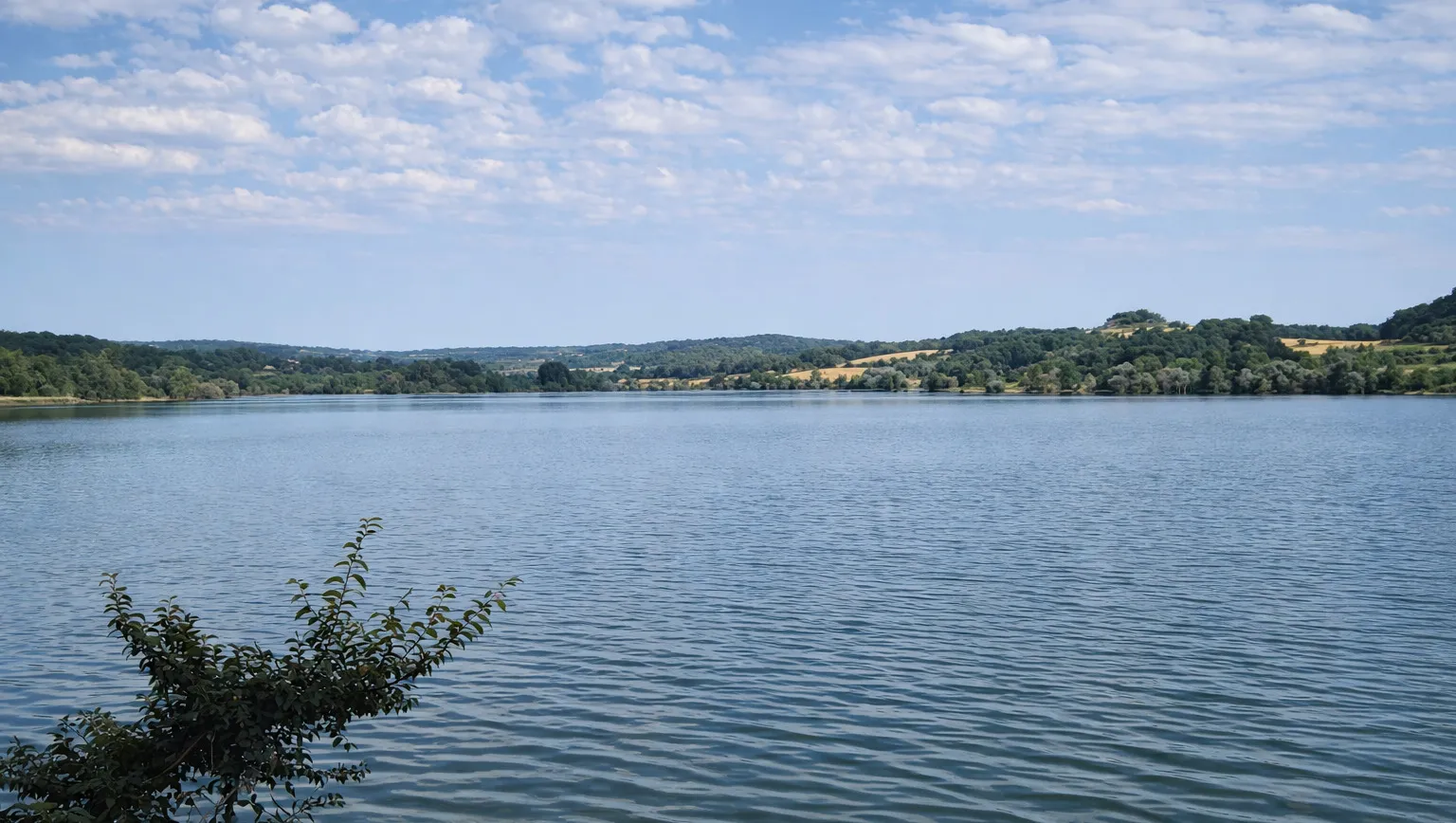 Forêt et calme au Lac de Brayssou