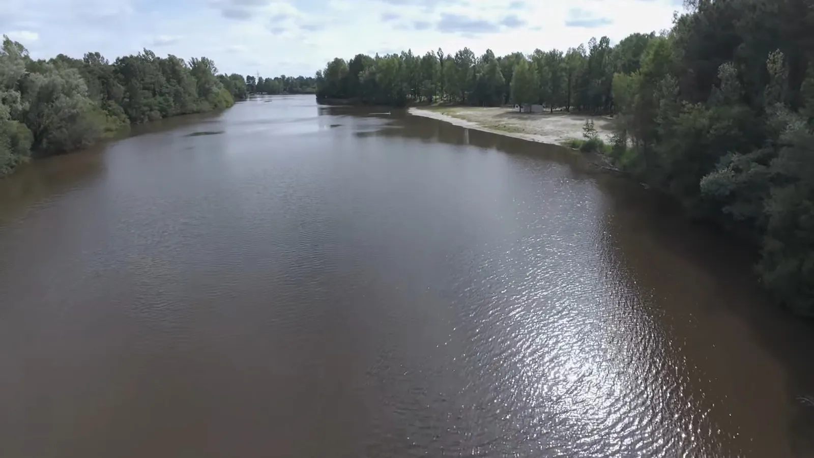 Lac du Moulin Blanc entouré de pins