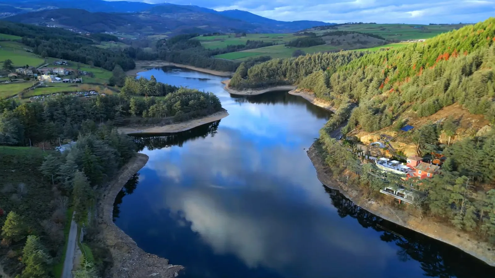 Allée de Cèdres du Liban au Lac du Ternay