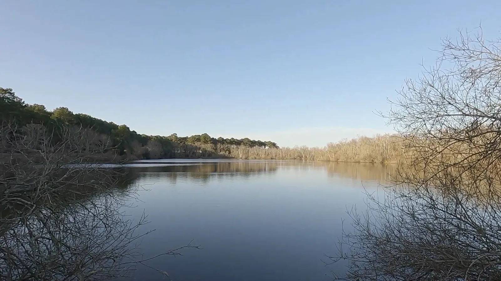 Passerelle en bois traversant la Lagune de Contaut