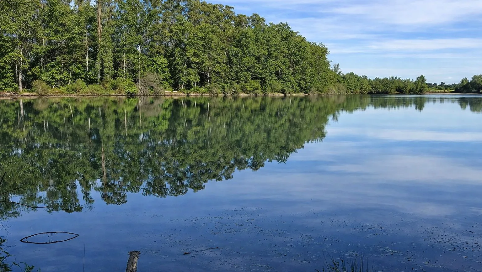 Sentiers et nature au Parc Urbain de Passeligne