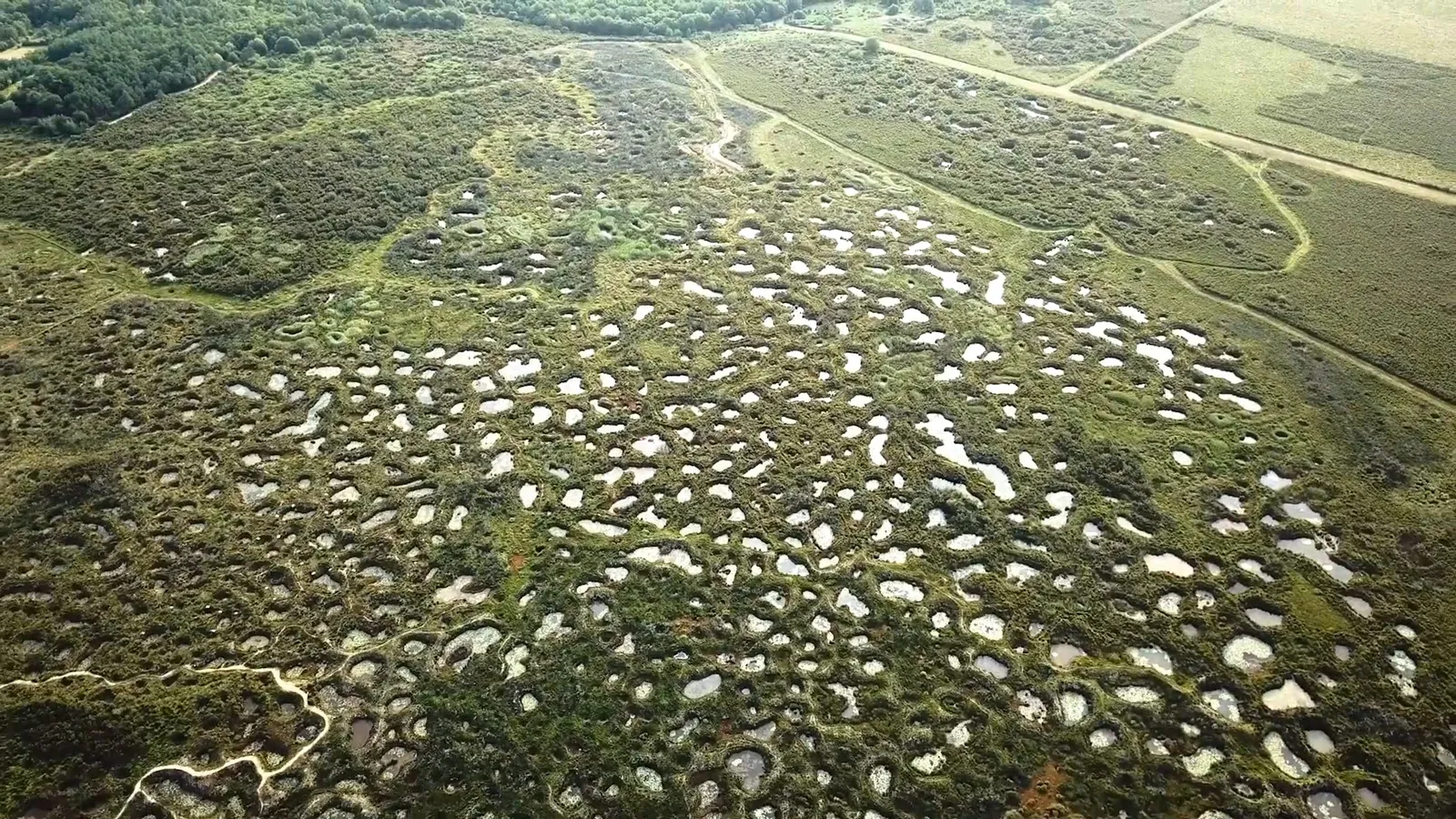 Paysage des mares de la Réserve Naturelle du Pinail