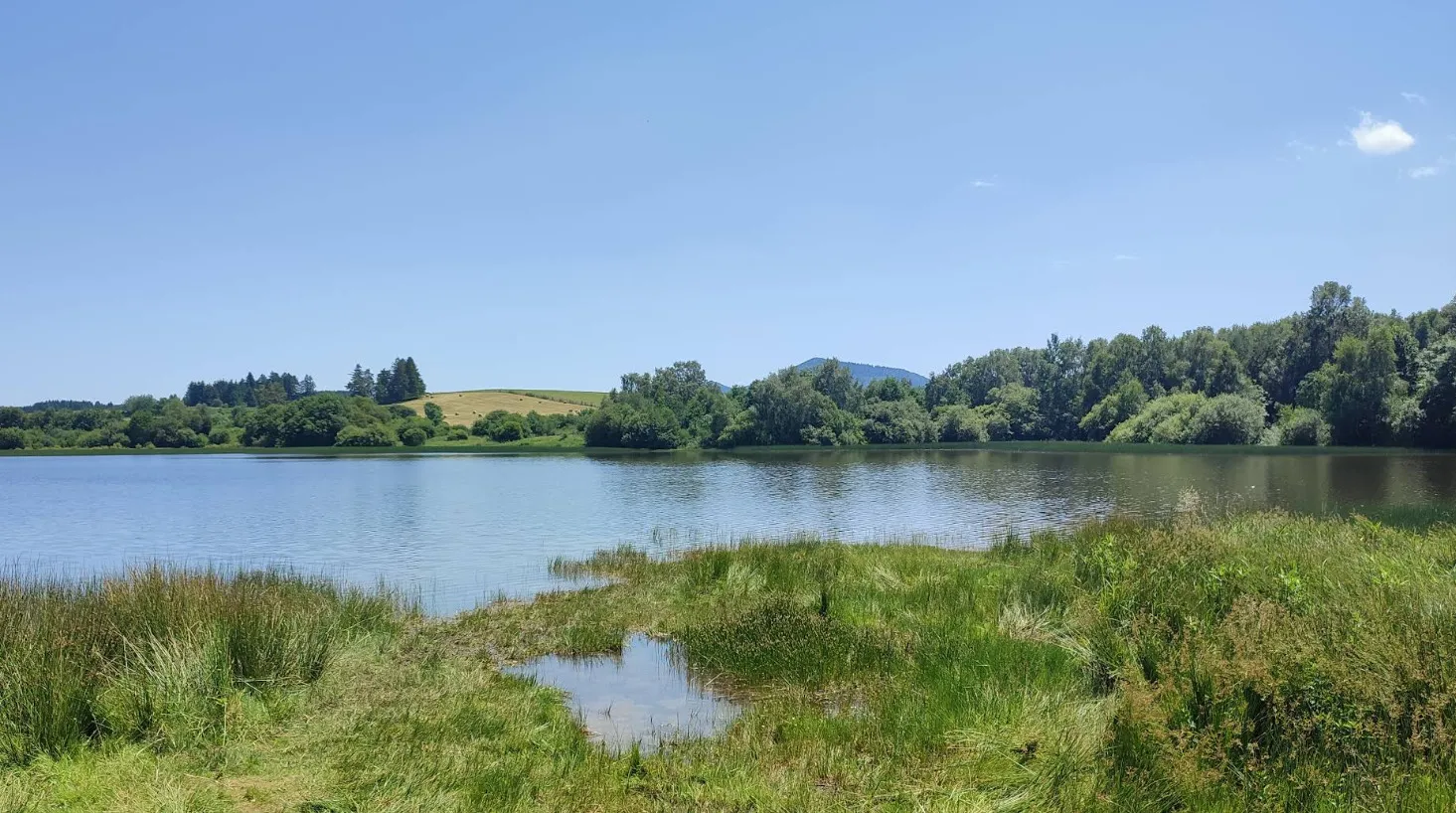 Observation des oiseaux à l'étang de Pulvérières