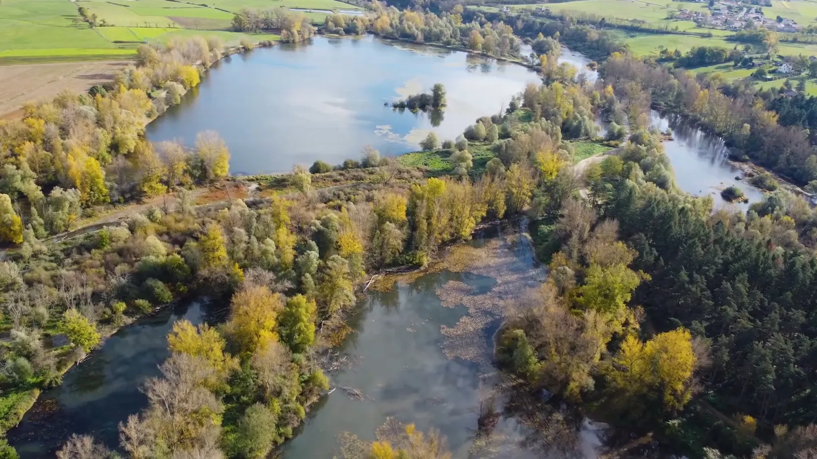 Etangs de Bas-en-Basset au coucher du soleil