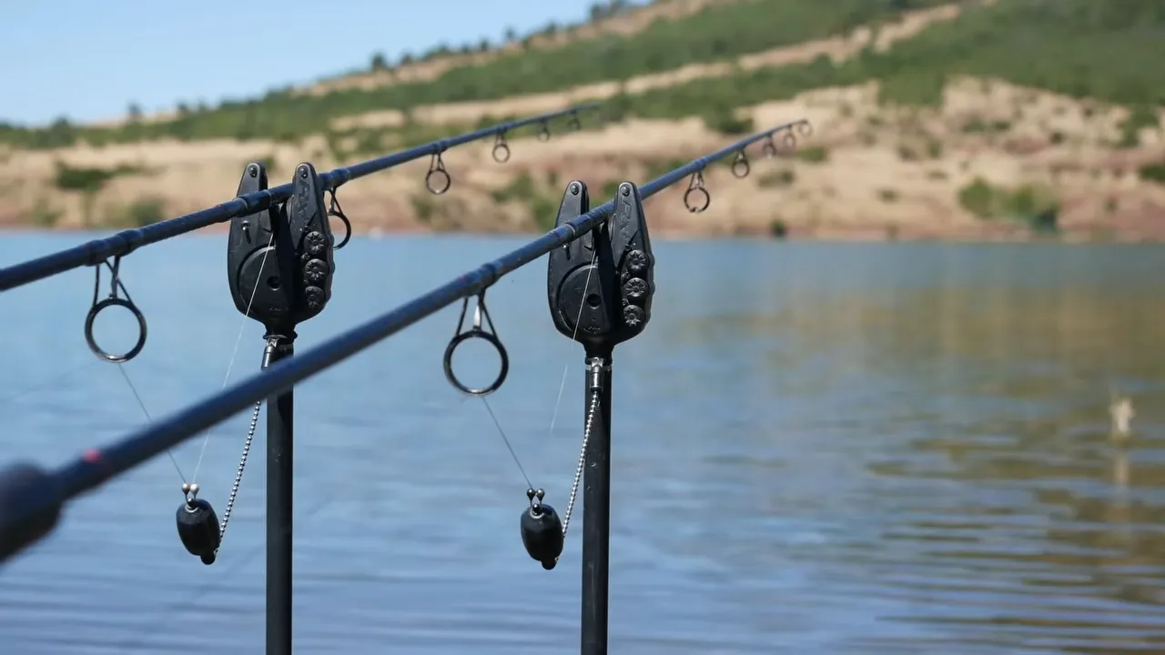 Matériel de pêche à la carpe installé au bord de l'eau sur une plage de galets du lac du Salagou