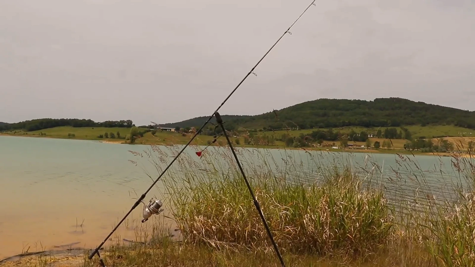 Pêcher la carpe au lac de Montbel, une activité incontournable du lieu