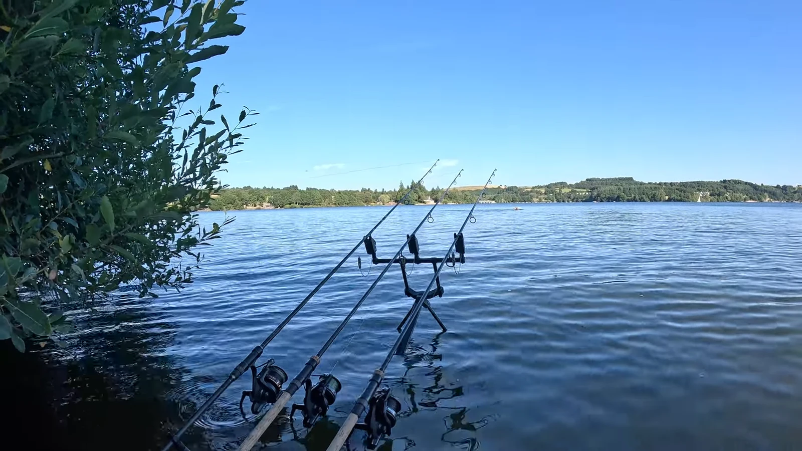 Pêche au lac de Pareloup réputé pour ses carpes