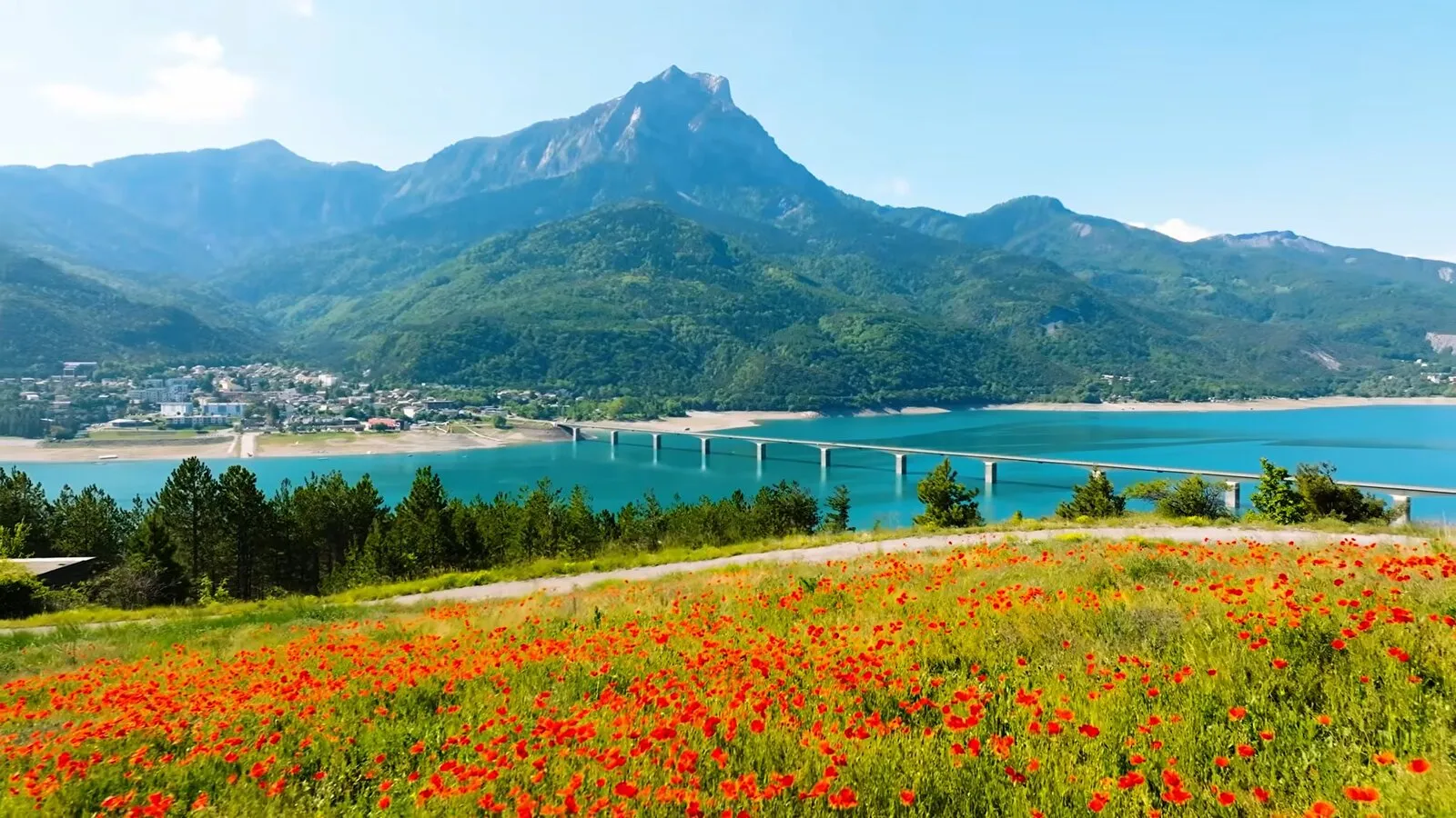 Le pont de Savines sur le lac de Serre-Ponçon et sa flore