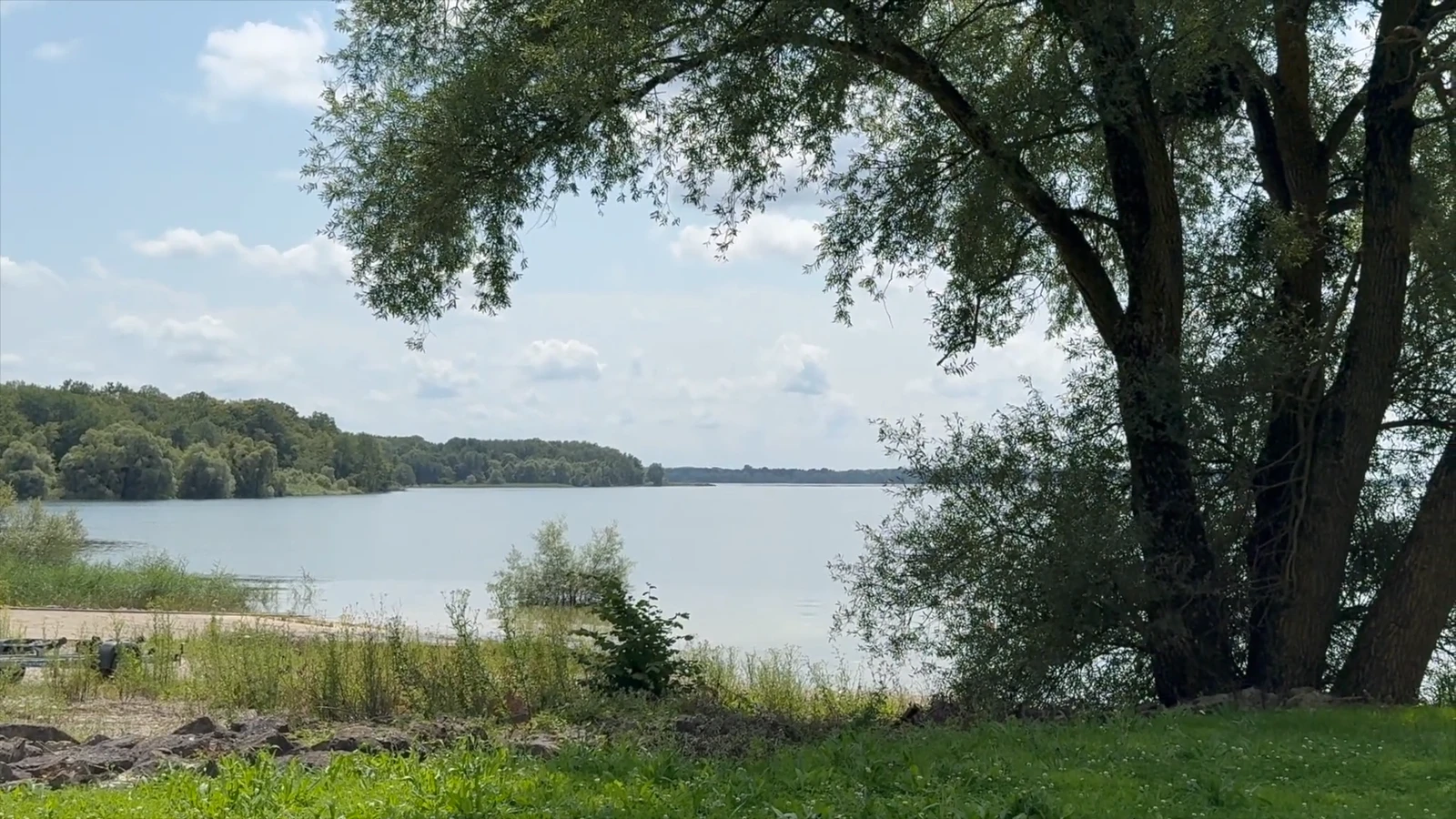 Pique nique au lac du Der sous les chênaies