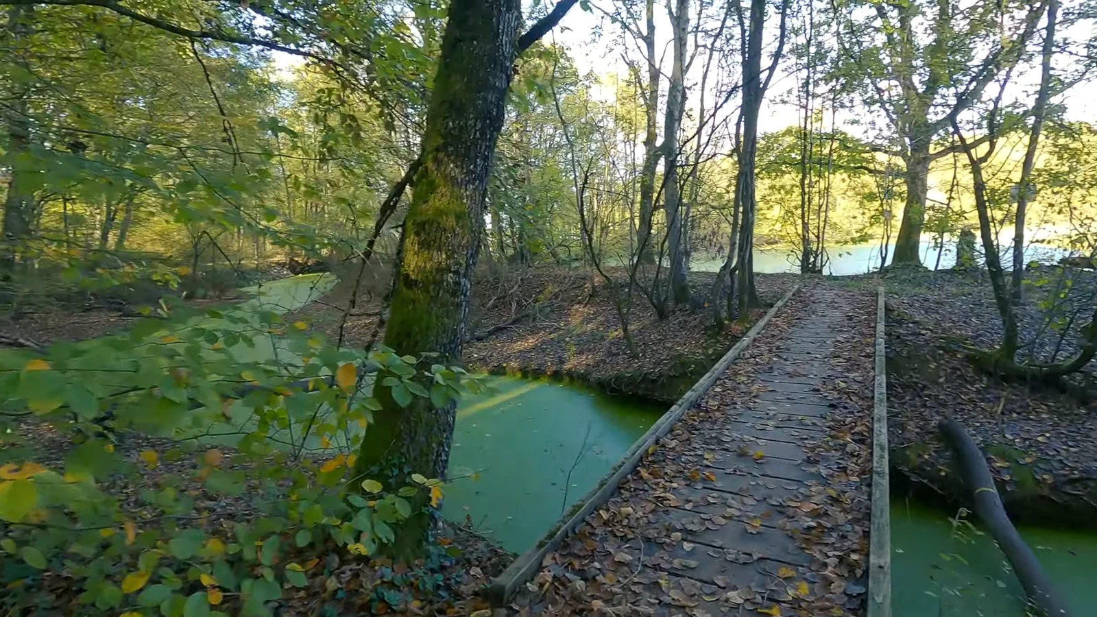 Tour du lac du Der et son accessibilité PMR
